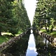 Аллея в Петергофе